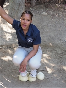 Cango Ostrich Farm